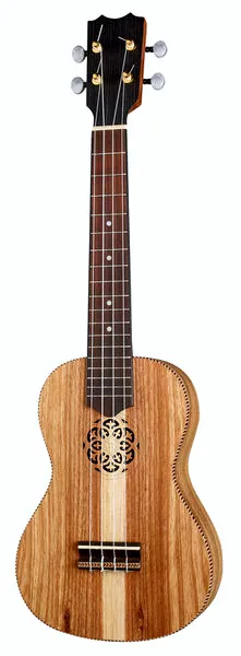 Thomann Artist Concert Ukulele ACA