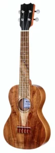 Le ukulélé Thomann Concert Ukulele Standard | Test, Avis & Comparatif
