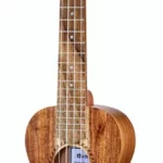 Le ukulélé Thomann Concert Ukulele Standard | Test, Avis & Comparatif