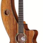 Guitare acoustique Timberline Guitars T70HGc-e Harp Guitar | Test, Avis & Comparatif