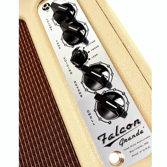 Tone King Falcon Grande CR – photo 11