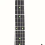 La guitare électrique Traveler Guitar TR Vaibrant 88 DLX B | Test, Avis & Comparatif