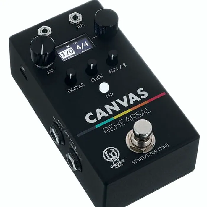 Walrus Audio Canvas Rehearsal – photo 6