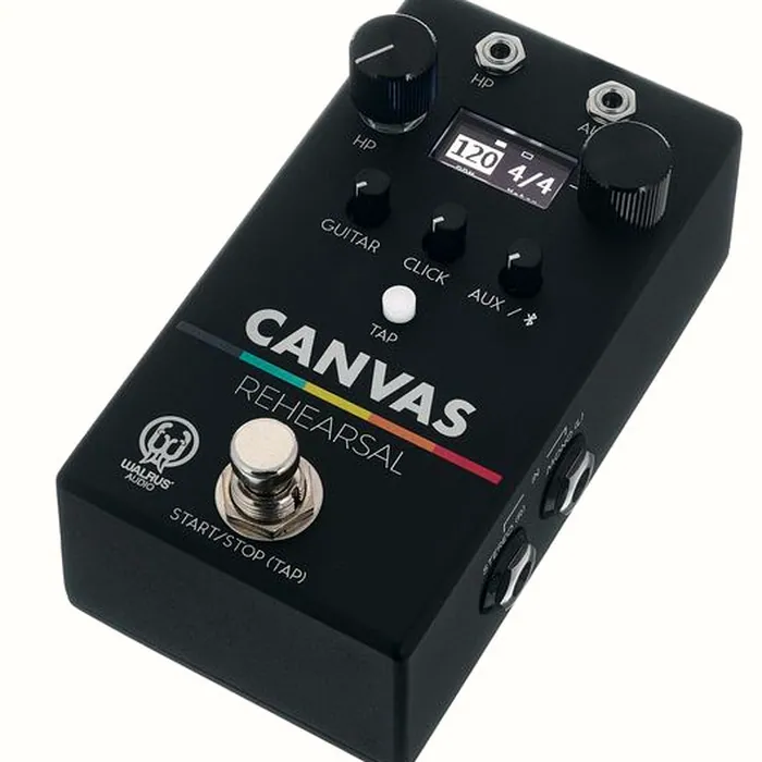 Walrus Audio Canvas Rehearsal – photo 2