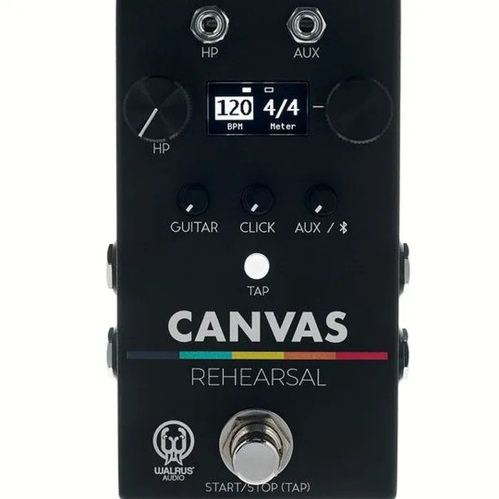 Walrus Audio Canvas Rehearsal – photo 8