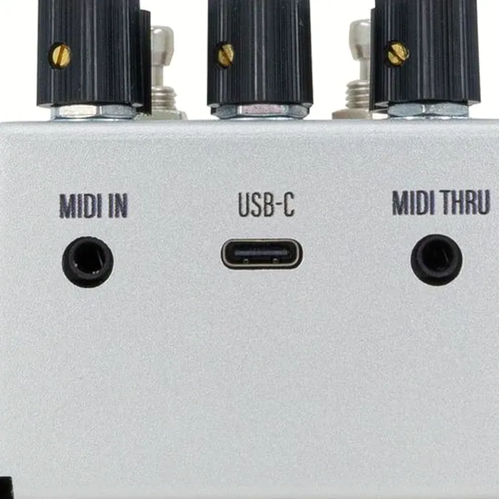 Walrus Audio MAKO D1 MKII – photo 10
