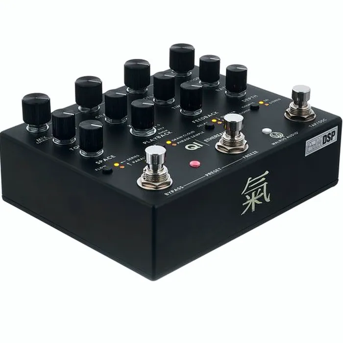 Walrus Audio Qi Etherealizer BK – photo 11