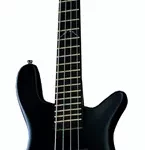 La basse électrique Warwick Artist Line Robert Trujillo 4 | Test et Avis | E.G.L