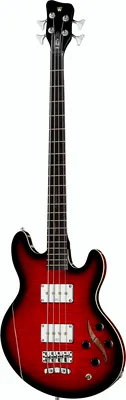 Warwick Artist Line SklarBass I BBTHP