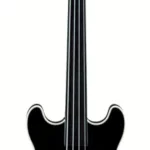 La basse électrique Warwick RB Star Bass 4 FL BK | Test et Avis | E.G.L