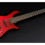 La basse électrique Warwick RB Streamer LX 5 RMHP | Test et Avis | E.G.L