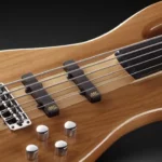 La basse électrique Warwick RB Streamer NT 5 FL NA HP | Test et Avis | E.G.L
