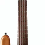 La basse électrique Warwick RB Streamer NT I 5 NTHP | Test et Avis | E.G.L