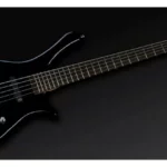La basse électrique Warwick Rockbass Fortress 5 Black HP | Test et Avis | E.G.L