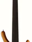 La basse électrique Warwick RockBass Infinity 5 FL NTHP | Test et Avis | E.G.L