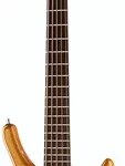 La basse électrique Warwick RockBass Infinity 5 NTHP | Test et Avis | E.G.L