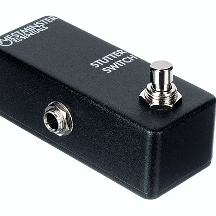 Westminster Effects Stutter Switch – photo 12