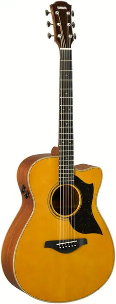 Yamaha AC5M ARE