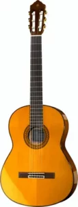 Yamaha C80