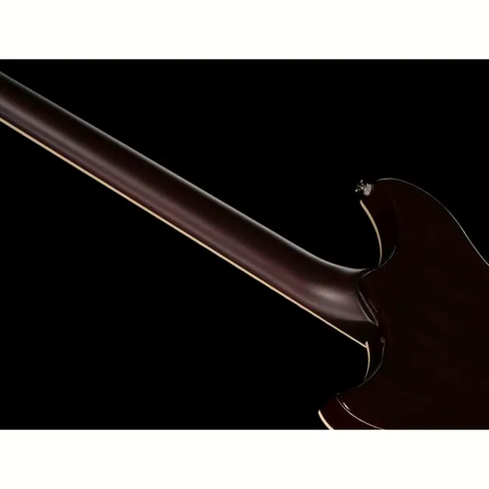 Yamaha Chris Buck RS02CB Honey Gold – photo 12