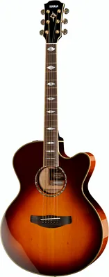Yamaha CPX1000 BS