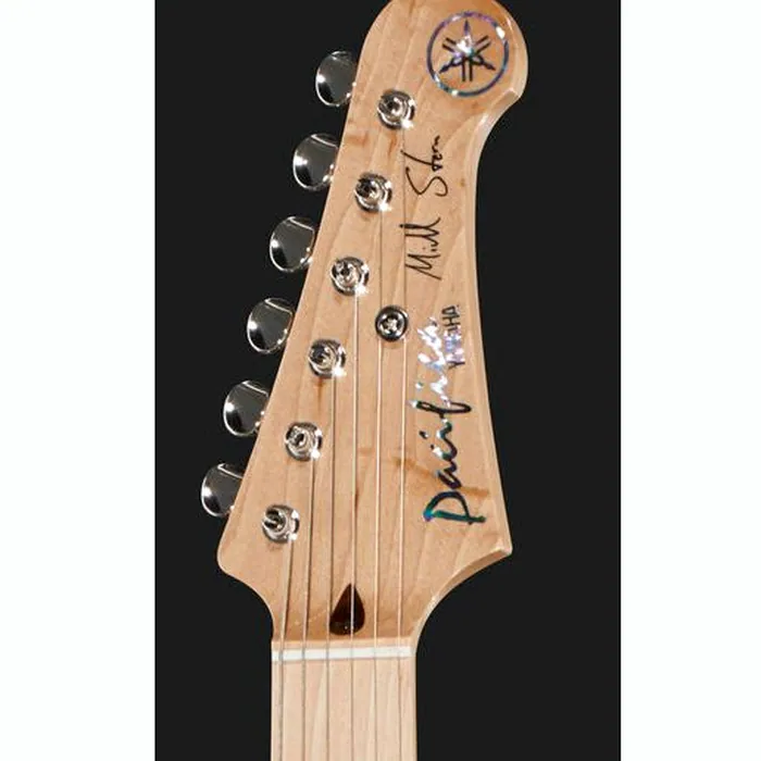Yamaha Pac 1611 MS Mike Stern – photo 8