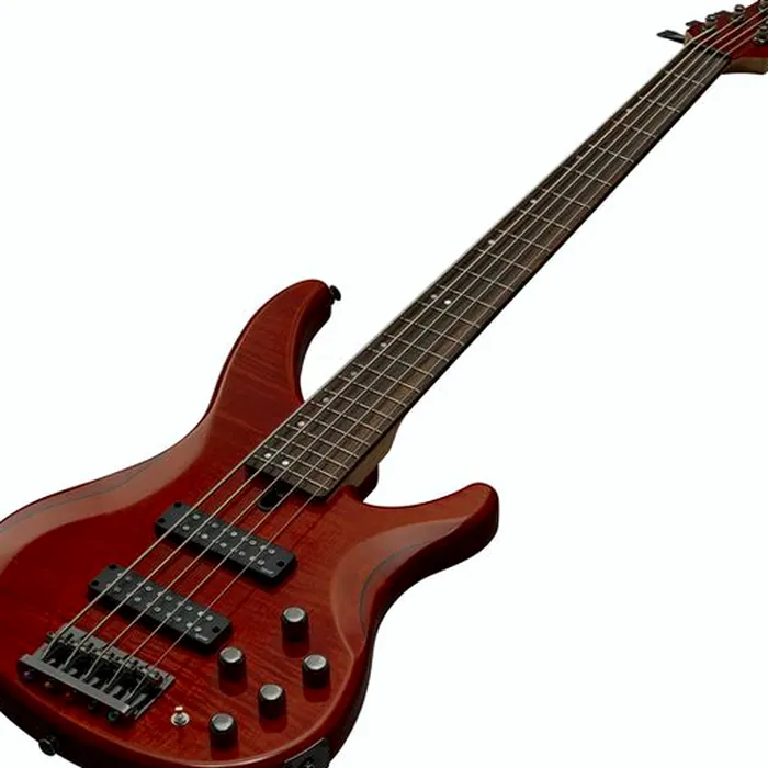Yamaha TRBX 605FM Caramel Brown – photo 6